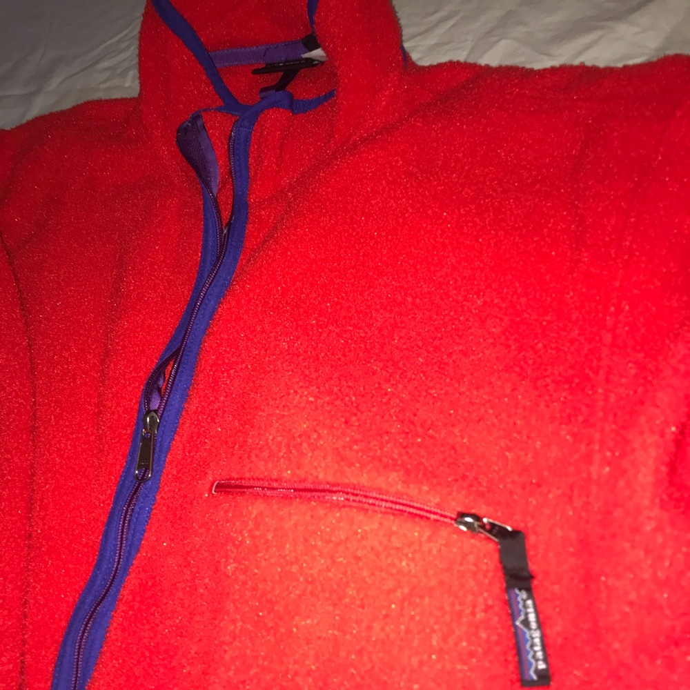 Patagonia - Picture 2 of 3